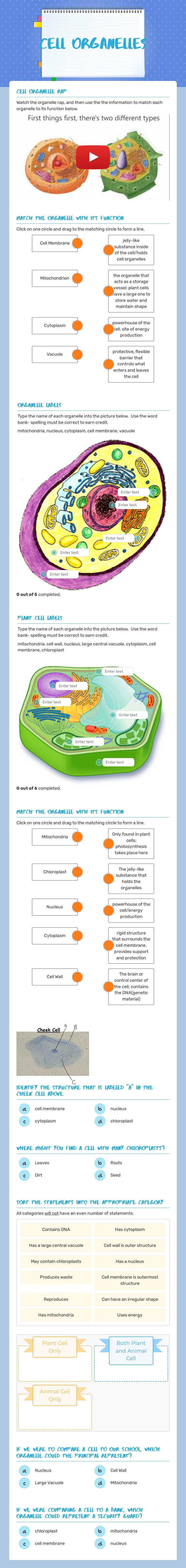 Cell Organelles worksheet preview image