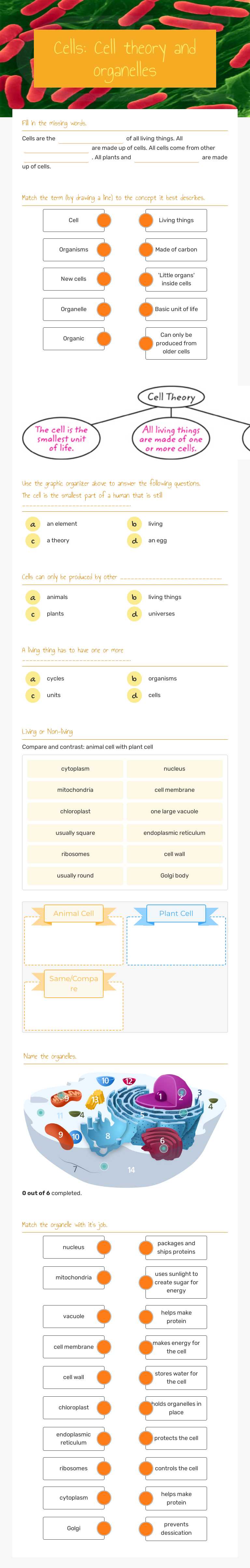 Cells: Cell theory and organelles Grade 6 worksheet preview