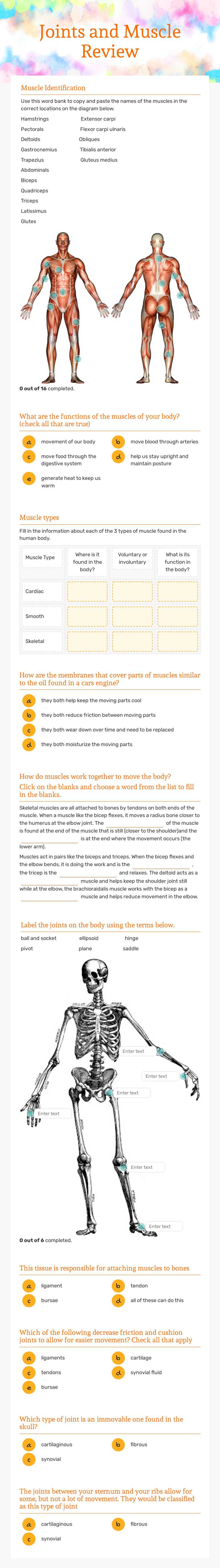 Joints and Muscle Review by Leanne Bair | Interactive Worksheet | Wizer.me