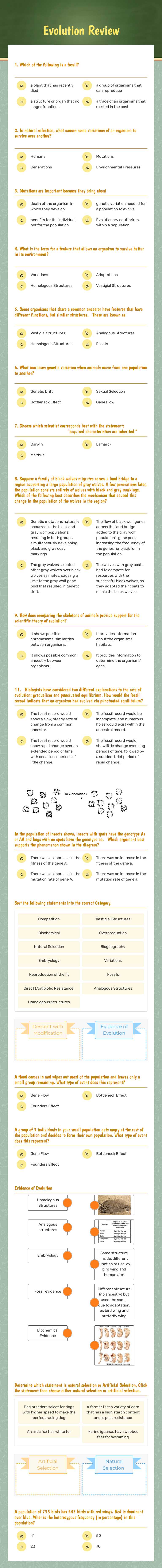 Evolution Review Grade 9 worksheet preview
