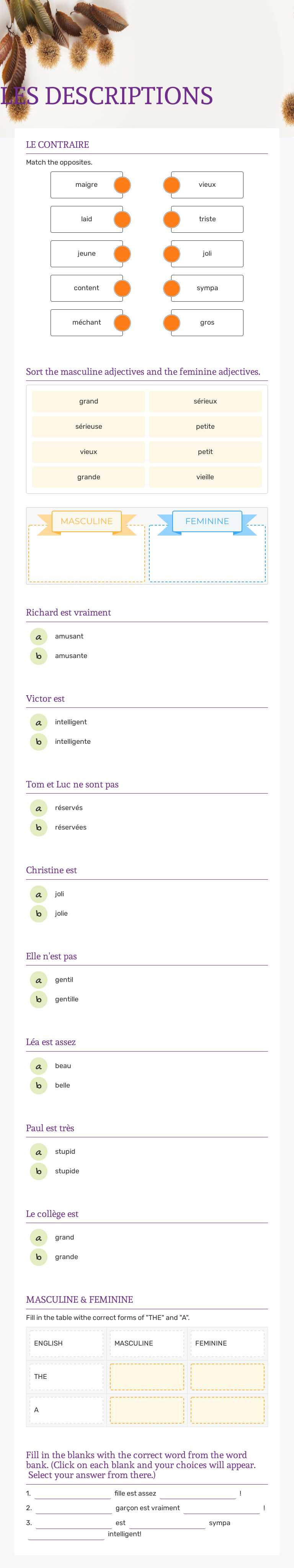 LES DESCRIPTIONS worksheet preview image