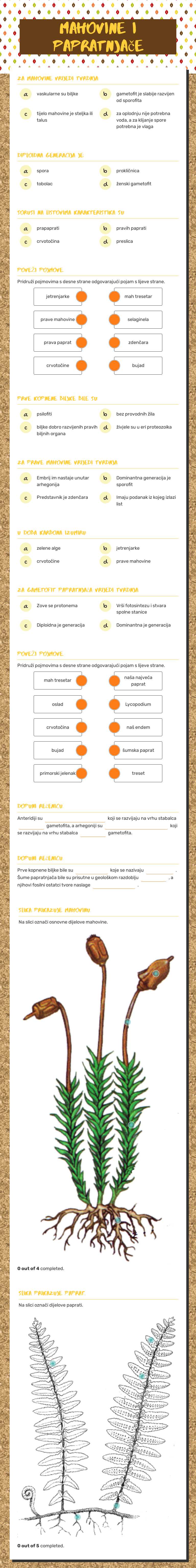 mahovine i papratnjače Other worksheet preview