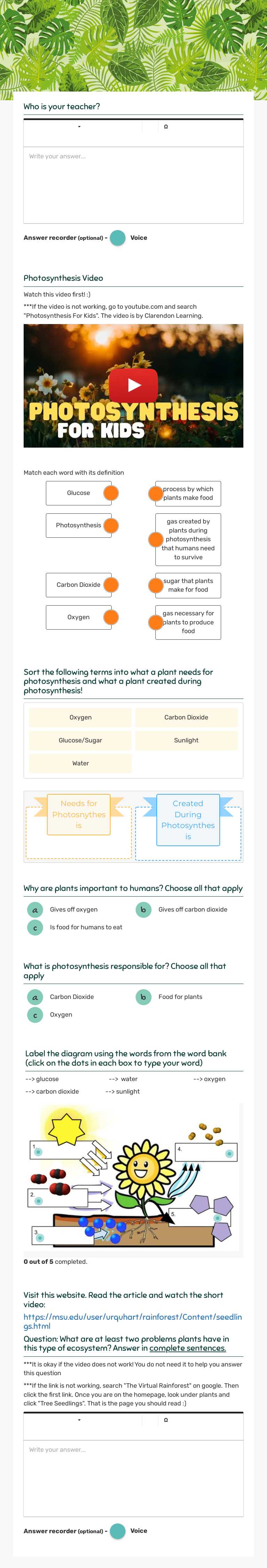 photosynthesis Grade 5 worksheet preview
