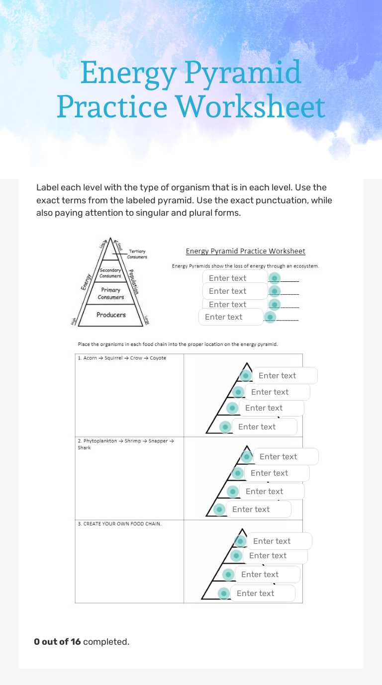 Energy Pyramid Practice Worksheet Grade 7 worksheet preview