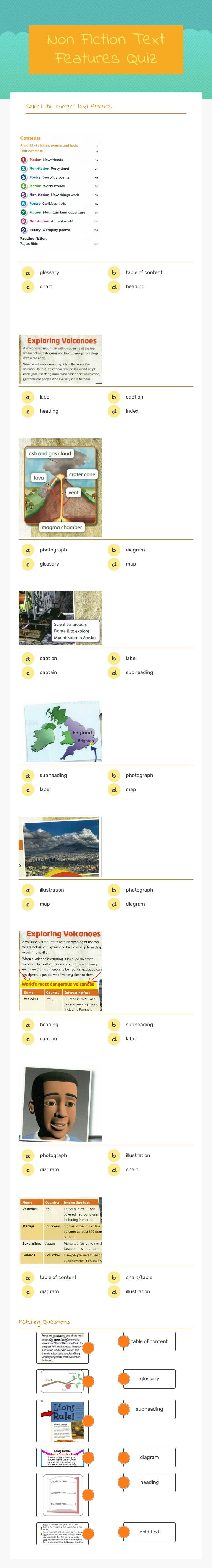 Non Fiction Text Features Quiz worksheet preview image