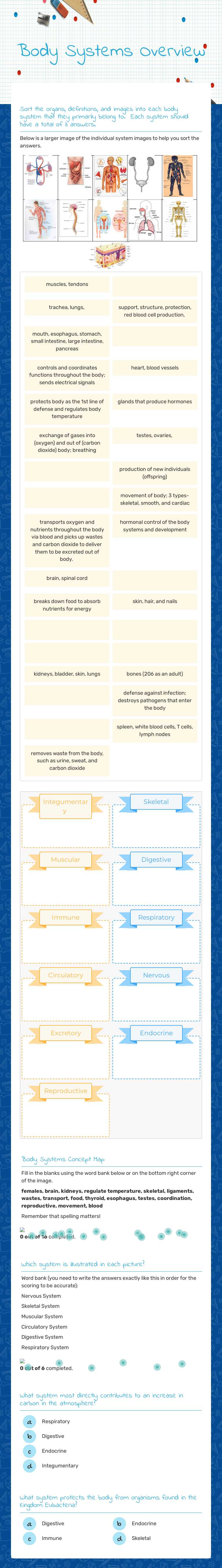 Body Systems Overview by Arturo Garcia | Interactive Worksheet | Wizer.me