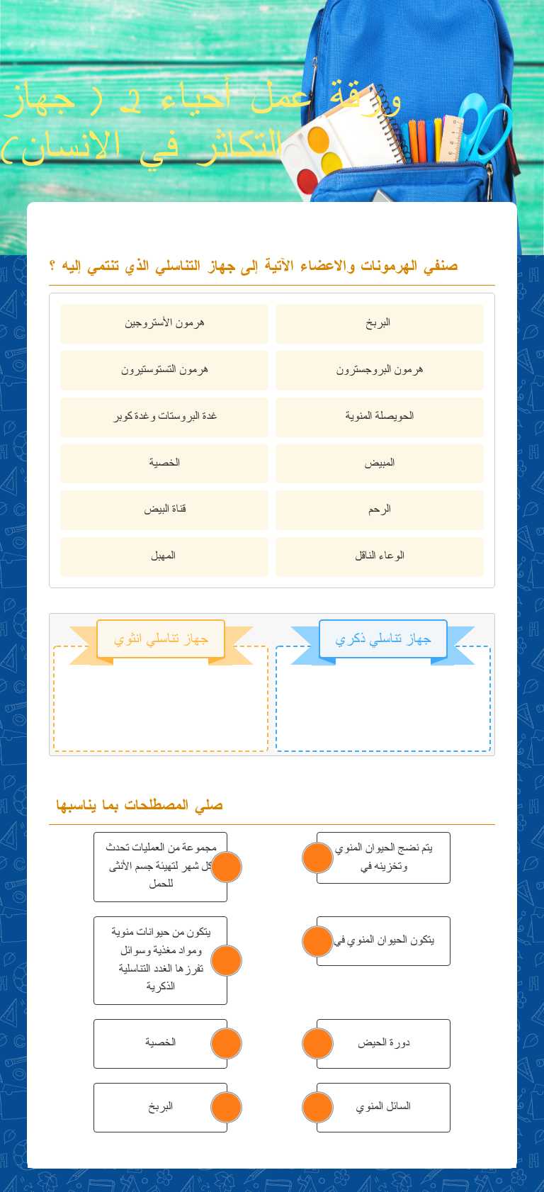 ورقة عمل أحياء 2 ( جهاز التكاثر في الانسان) worksheet preview image
