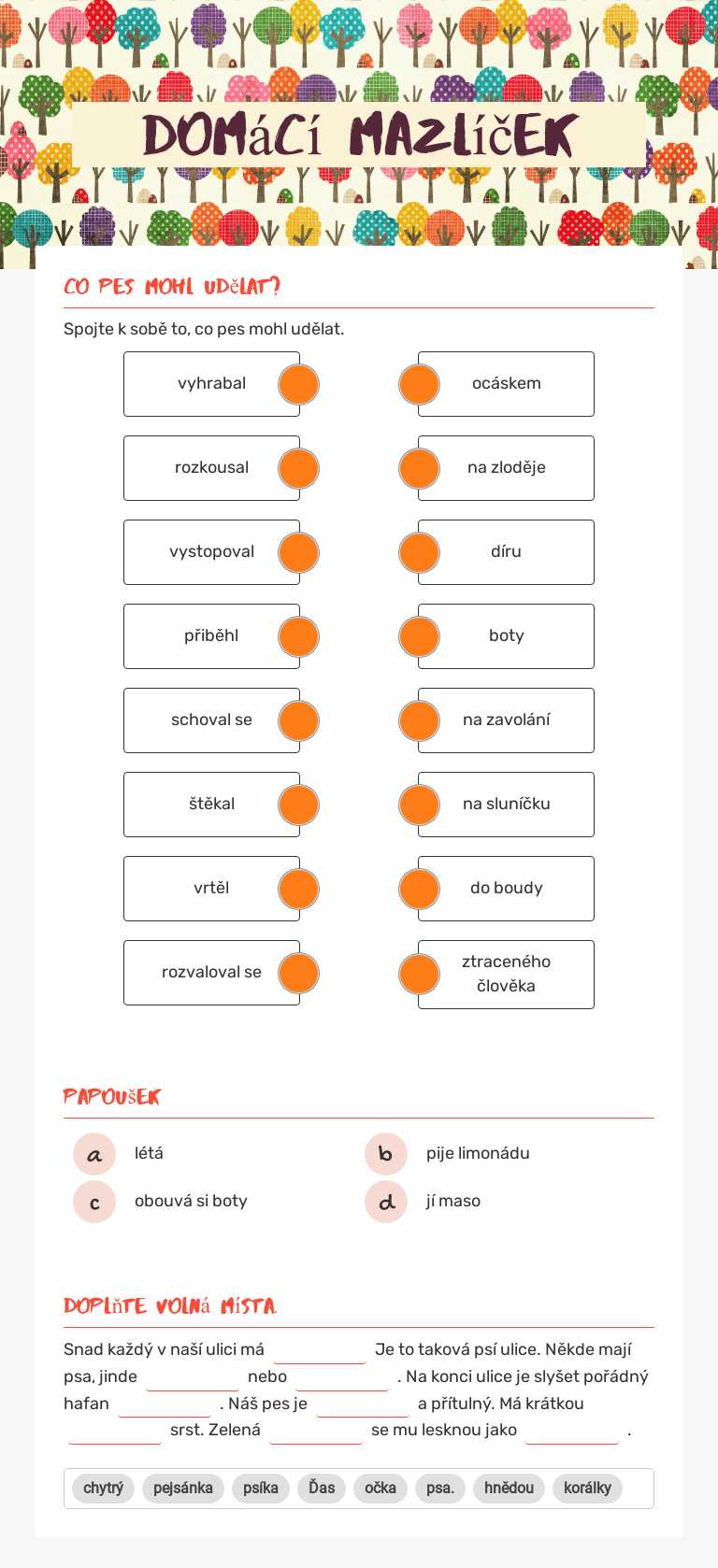 Domácí mazlíček worksheet preview image