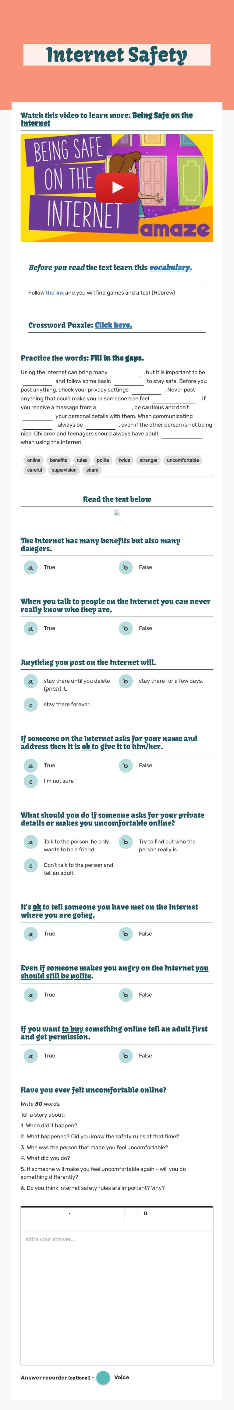 Internet Safety worksheet preview image