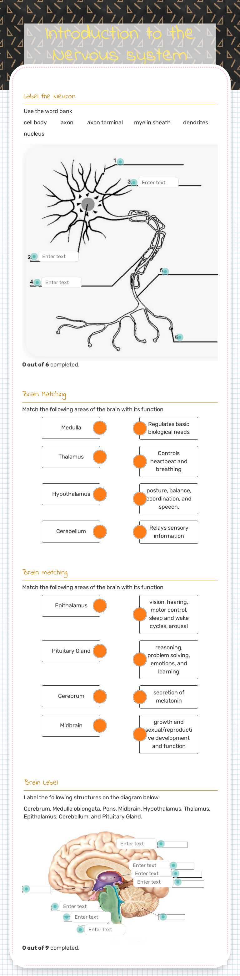 Introduction to the Nervous system Grade 10 worksheet preview