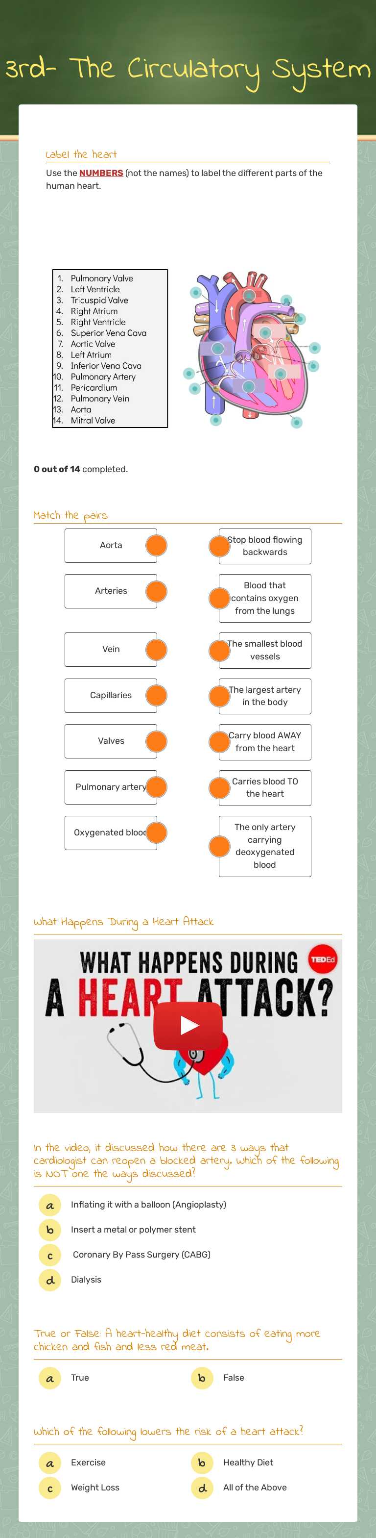 3rd- The Circulatory System worksheet preview image