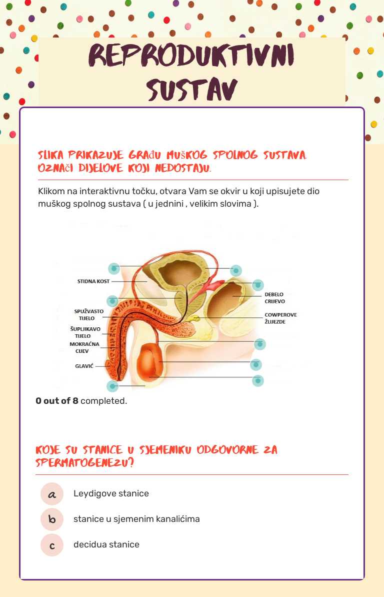 REPRODUKTIVNI SUSTAV worksheet preview image