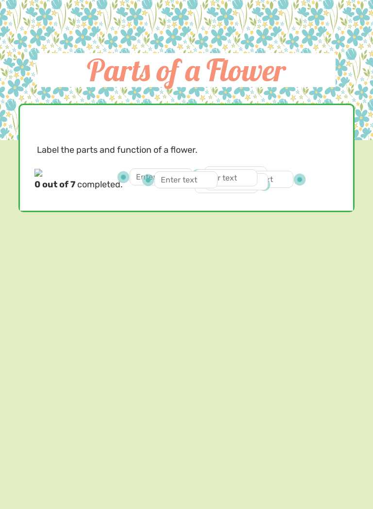 Parts of a Flower Grade 5 worksheet preview