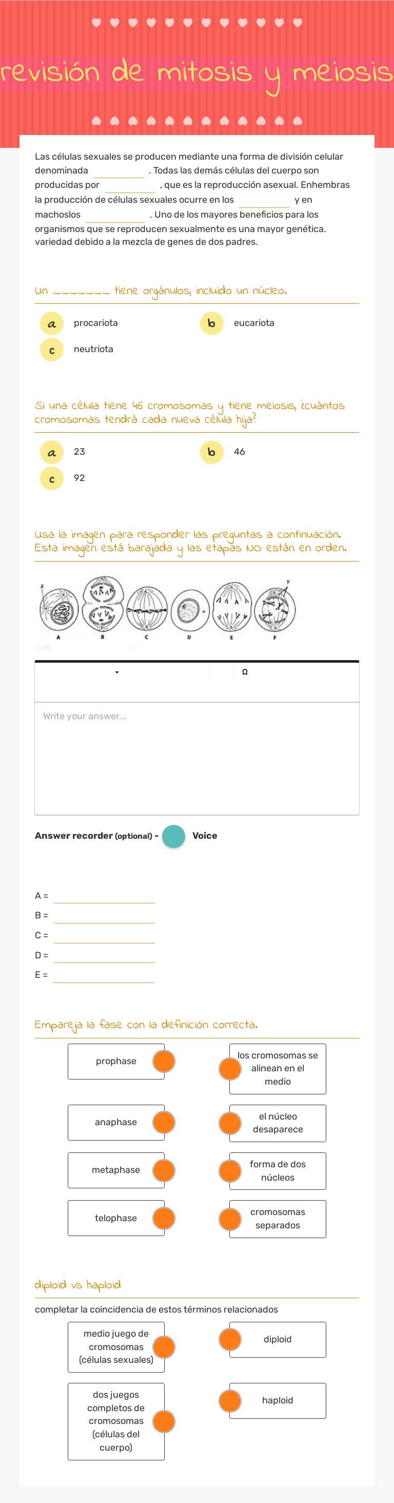 revisión de mitosis y meiosis worksheet preview image
