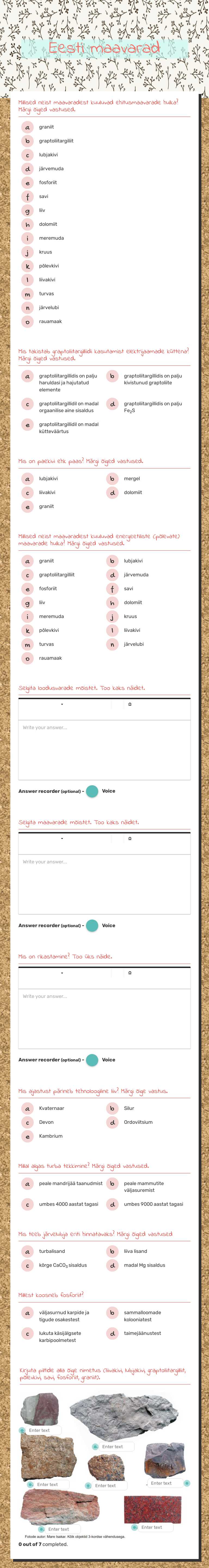 Eesti maavarad worksheet preview image