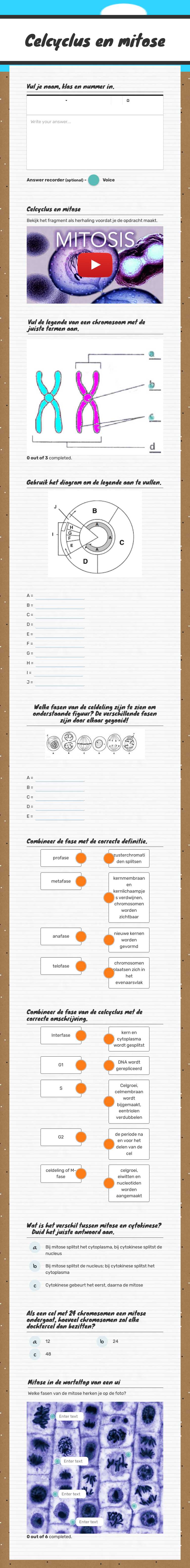 Celcyclus en mitose worksheet preview image