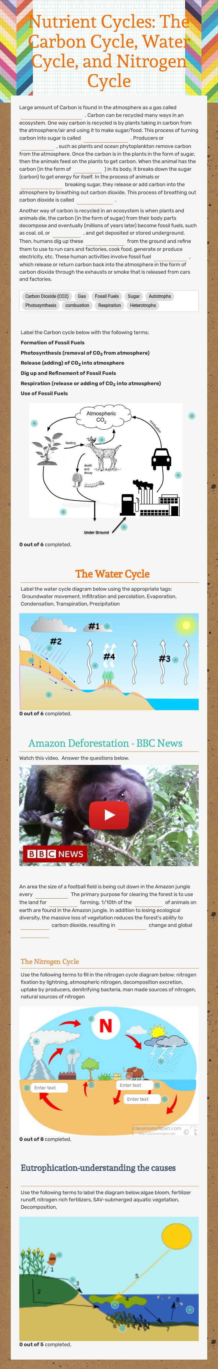 Nutrient Cycles:  The Carbon Cycle, Water Cycle, and Nitrogen Cycle Grade 9 worksheet preview