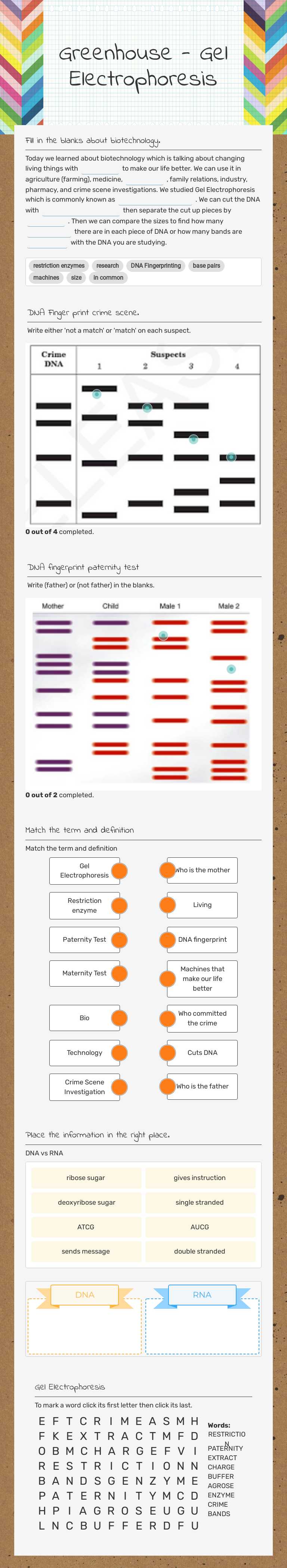 Greenhouse - Gel Electrophoresis worksheet preview image