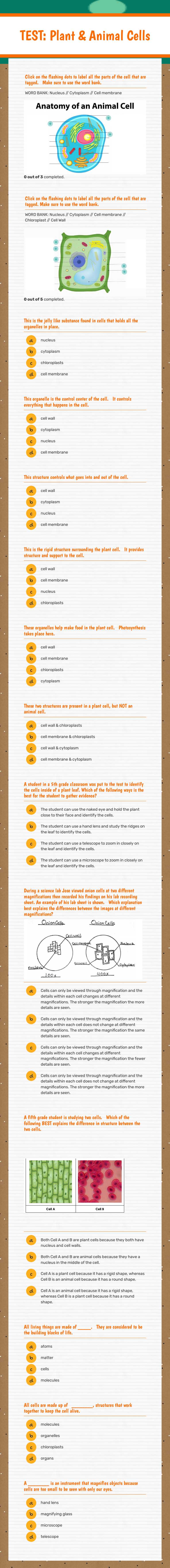 TEST:  Plant & Animal Cells Grade 5 worksheet preview