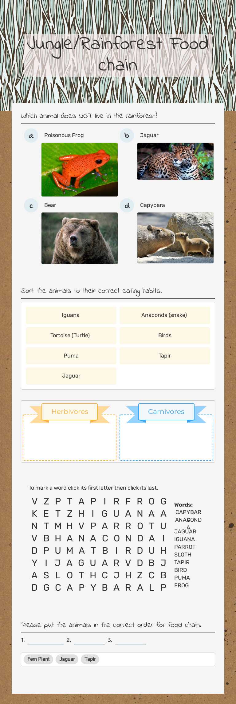 Jungle/Rainforest Food chain worksheet preview image