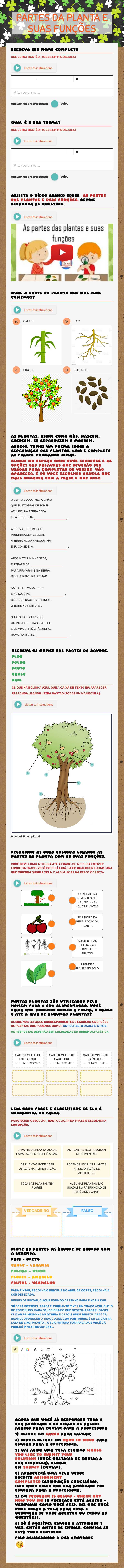 PARTES DA PLANTA E SUAS FUNÇÕES worksheet preview image