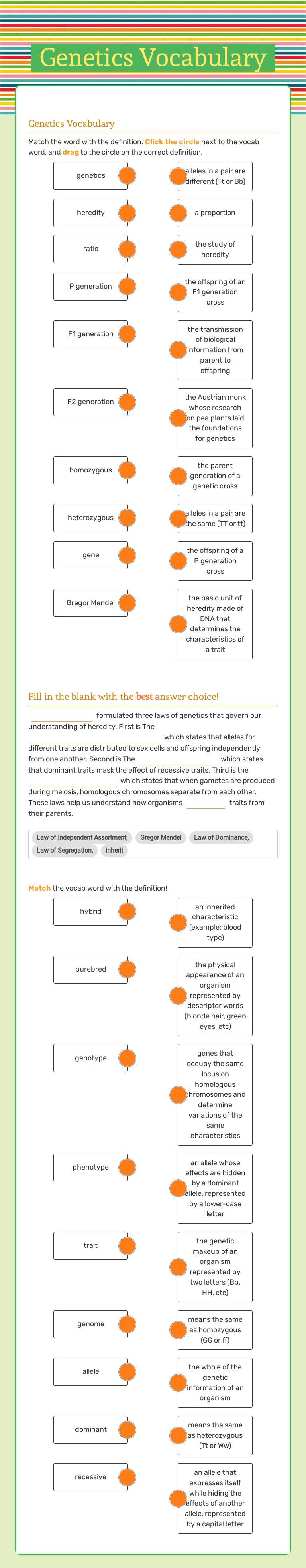Genetics Vocabulary worksheet preview image