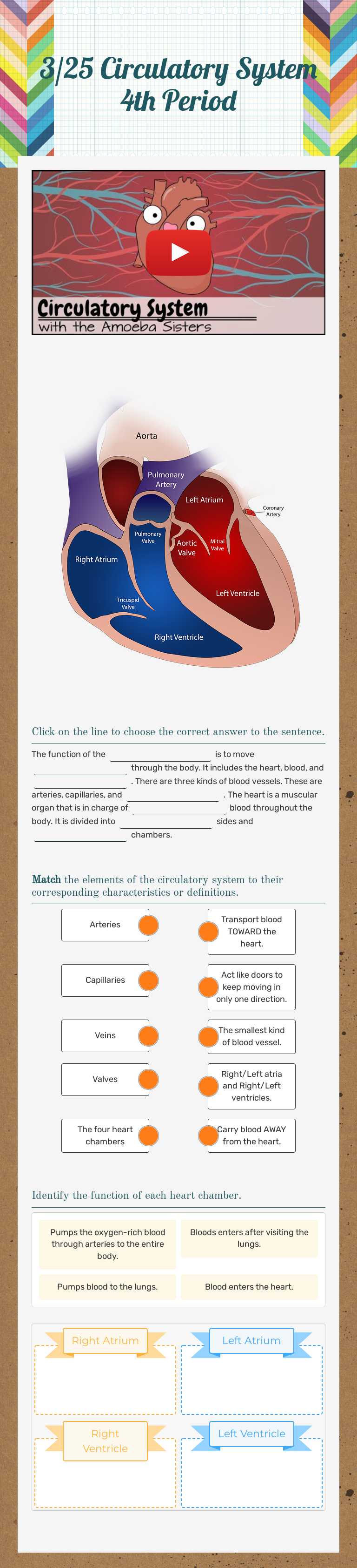 3/25 Circulatory System 4th Period worksheet preview image