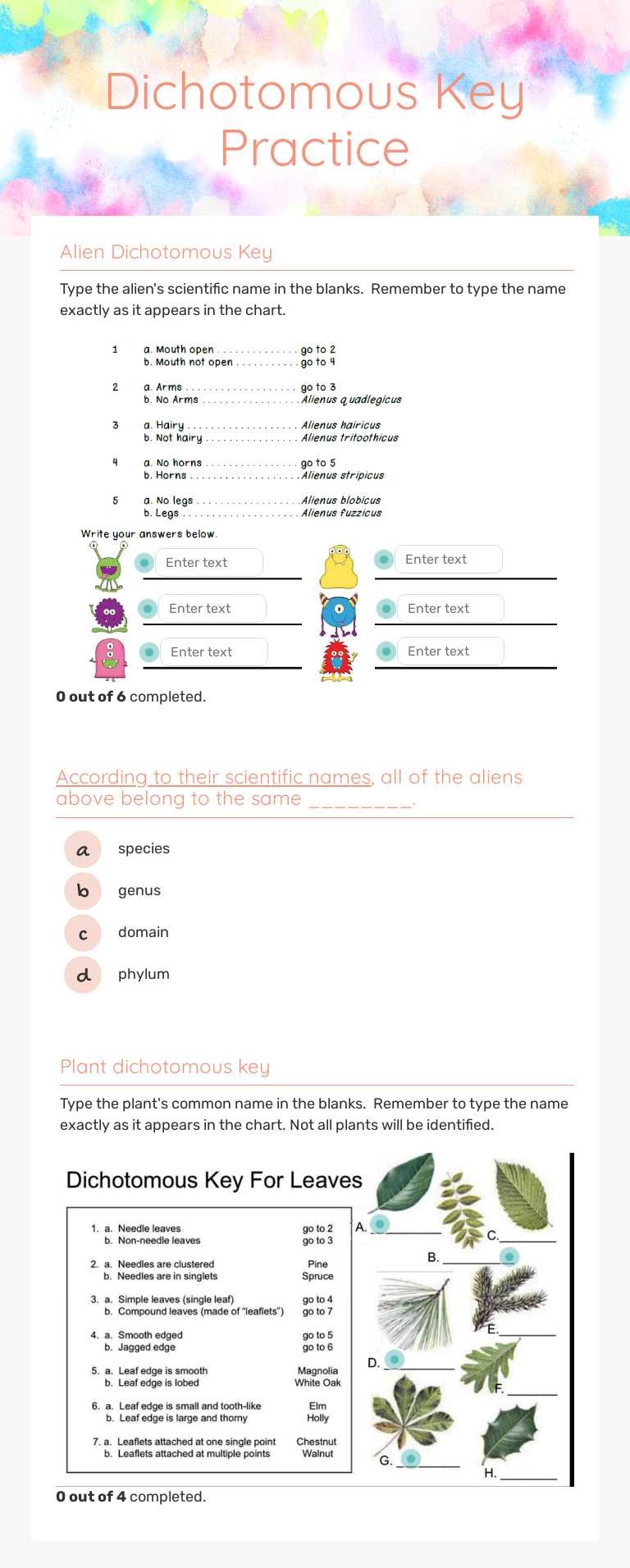 Dichotomous Key Practice Grade 9 worksheet preview