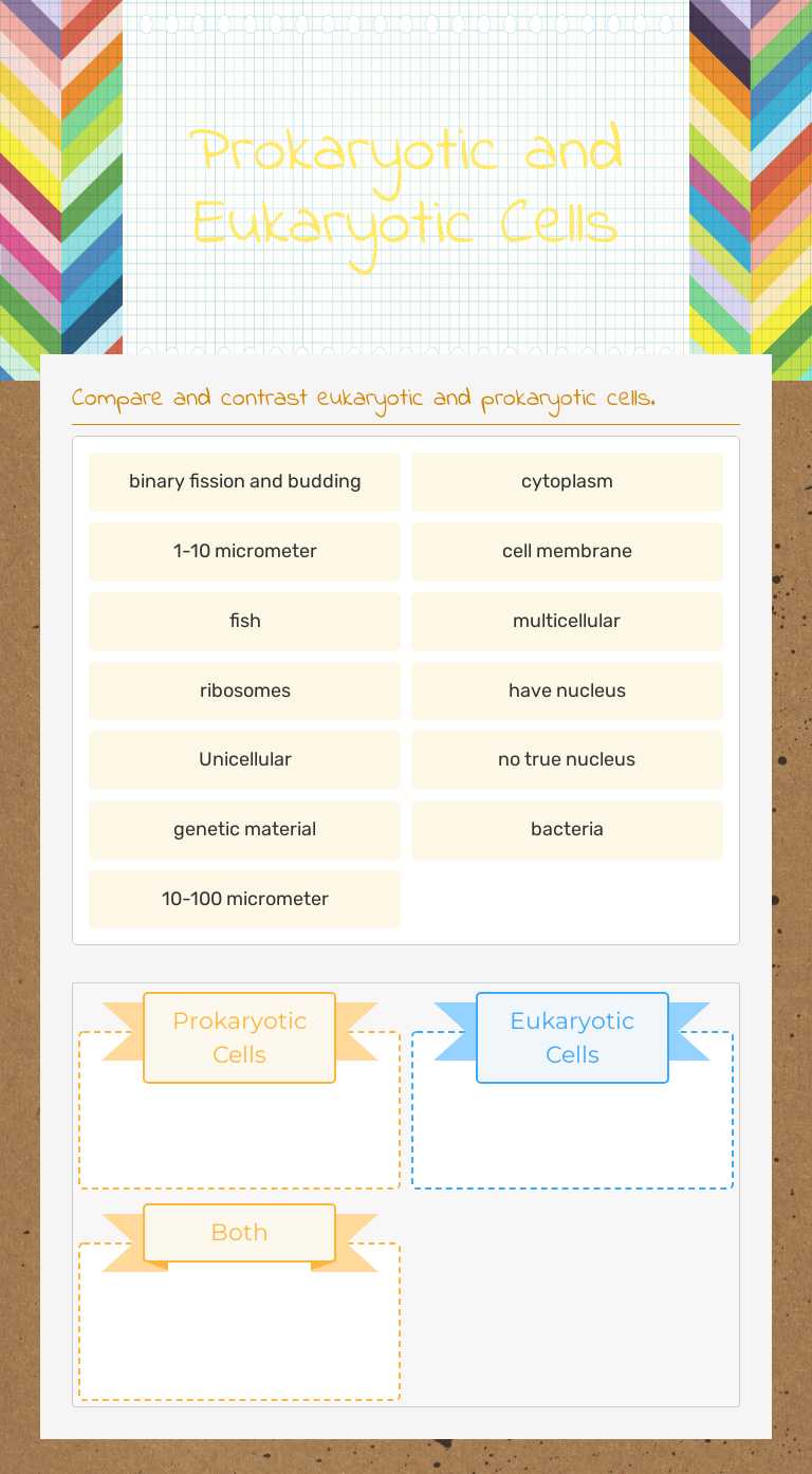 Prokaryotic and Eukaryotic Cells worksheet preview