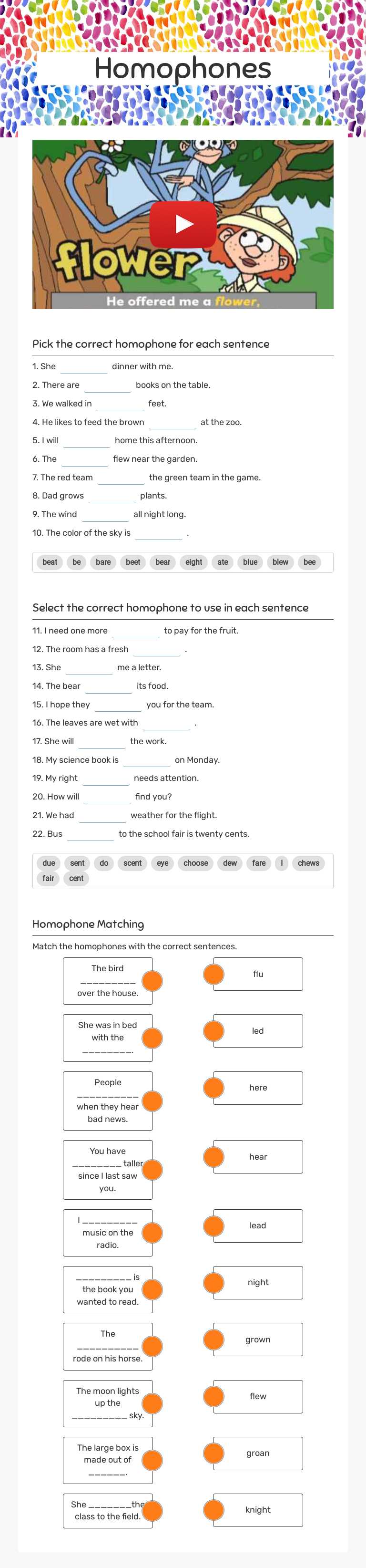 Homophones worksheet preview image