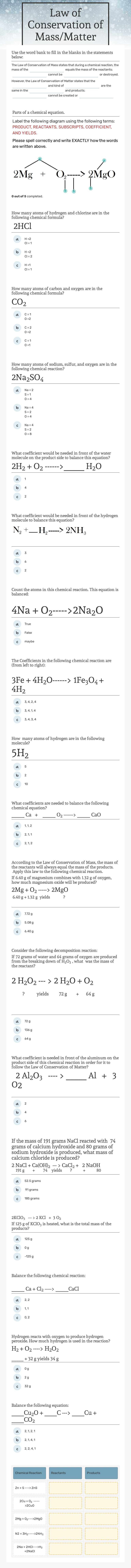 Law of Conservation of Mass/Matter worksheet preview image