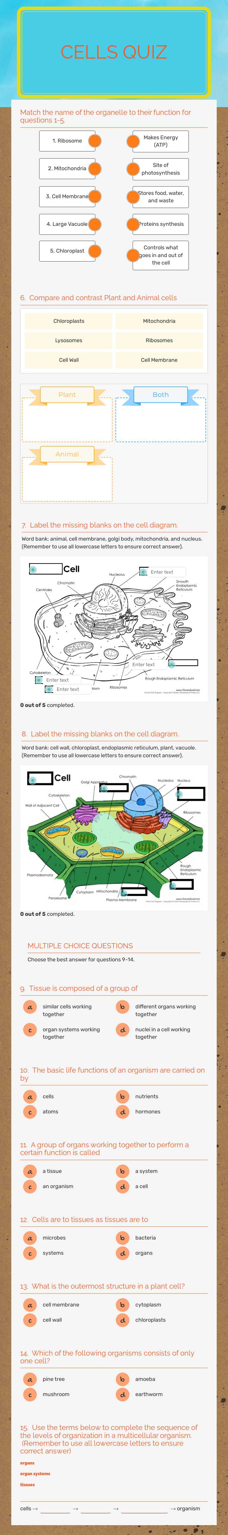 Cells quiz Grade 9 worksheet preview