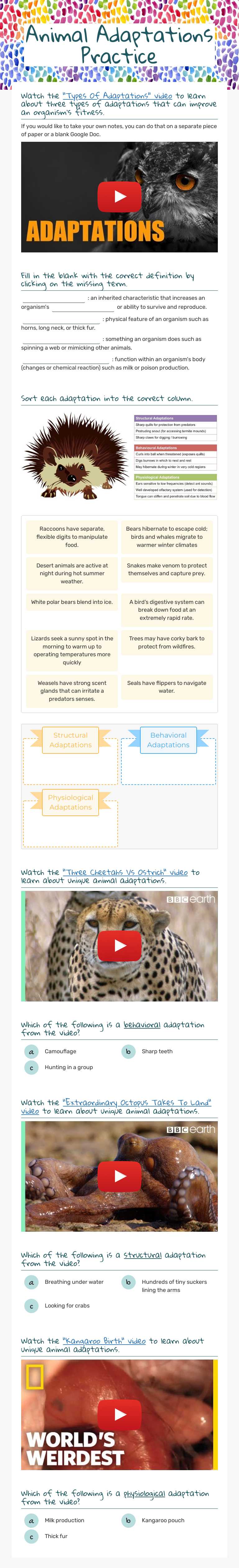 Animal Adaptations Practice worksheet preview image