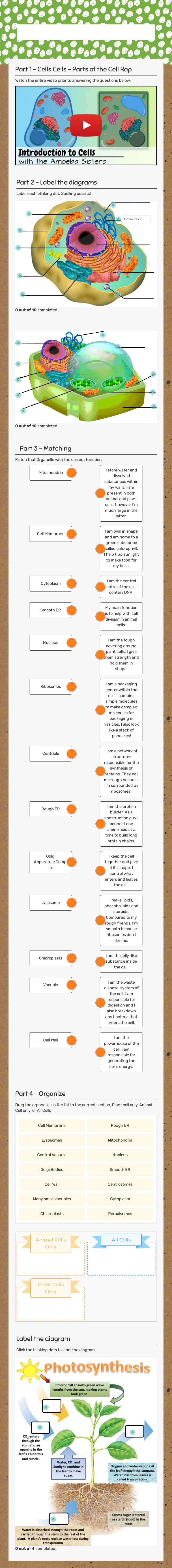 organelles Review Day 1 worksheet preview image