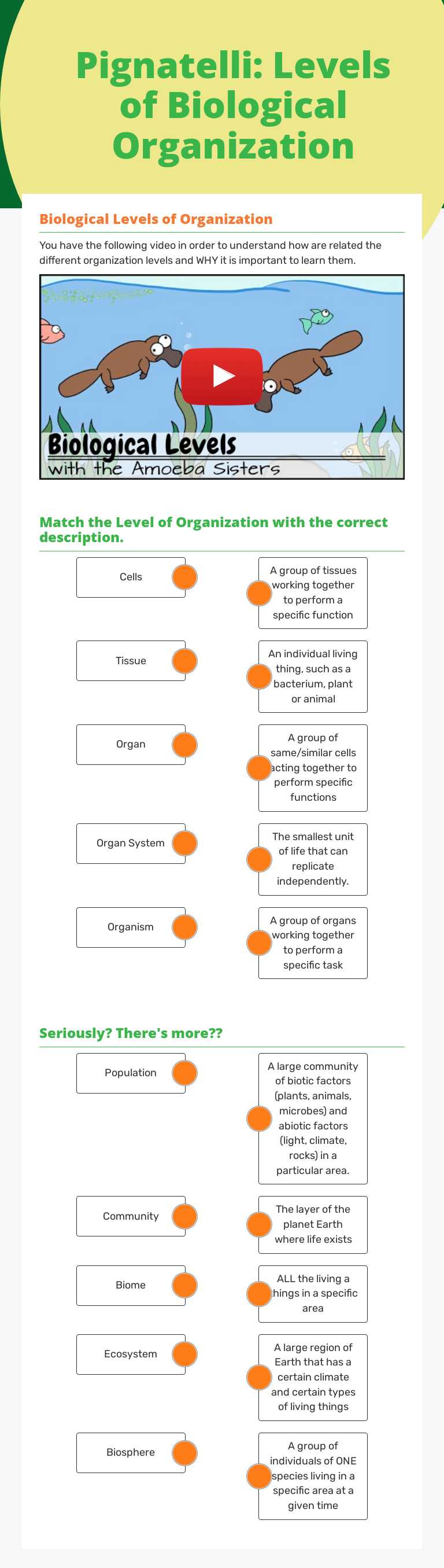 Pignatelli: Levels of Biological Organization worksheet preview image