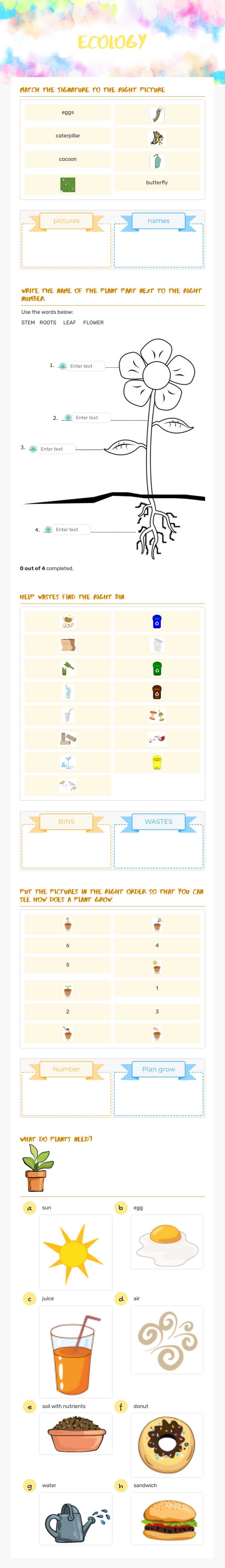 ecology Preschool worksheet preview