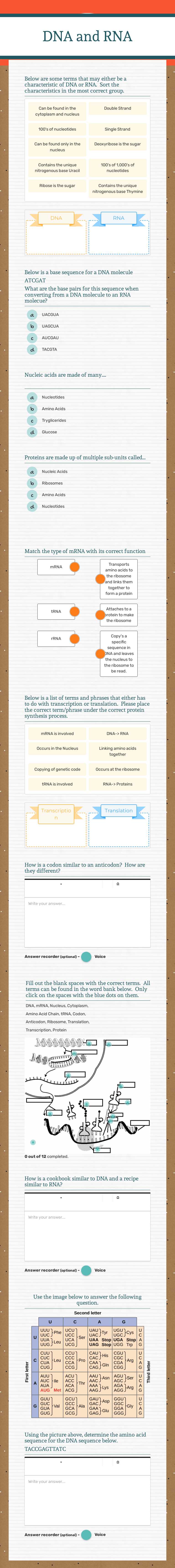 DNA and RNA worksheet preview image