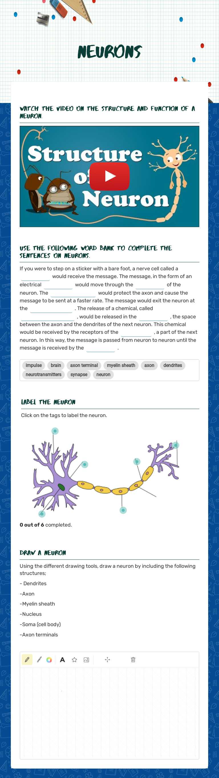 Neurons worksheet preview image
