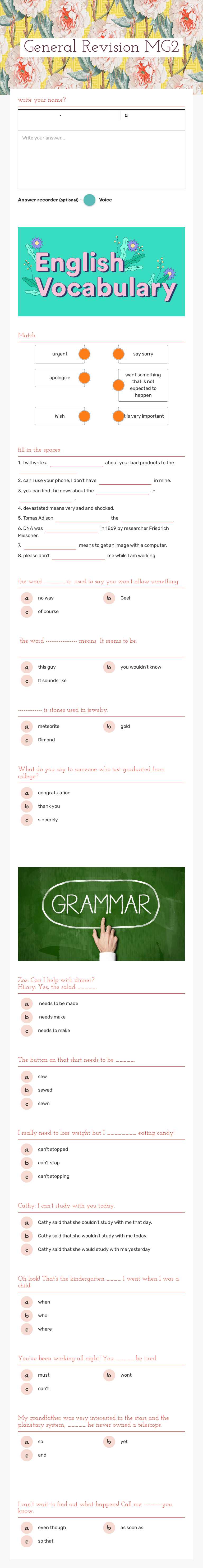 General Revision    MG2 worksheet preview image