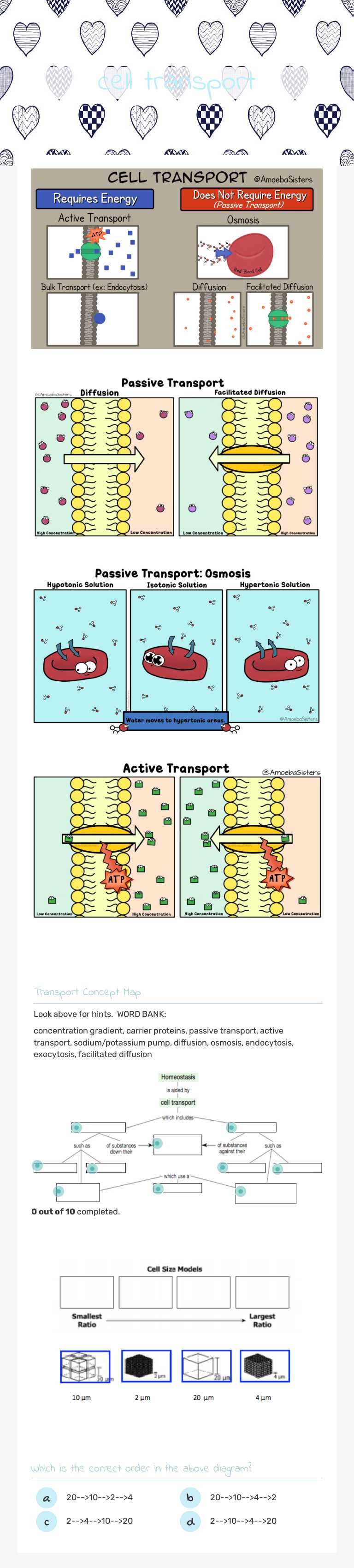 cell transport Grade 9 worksheet preview