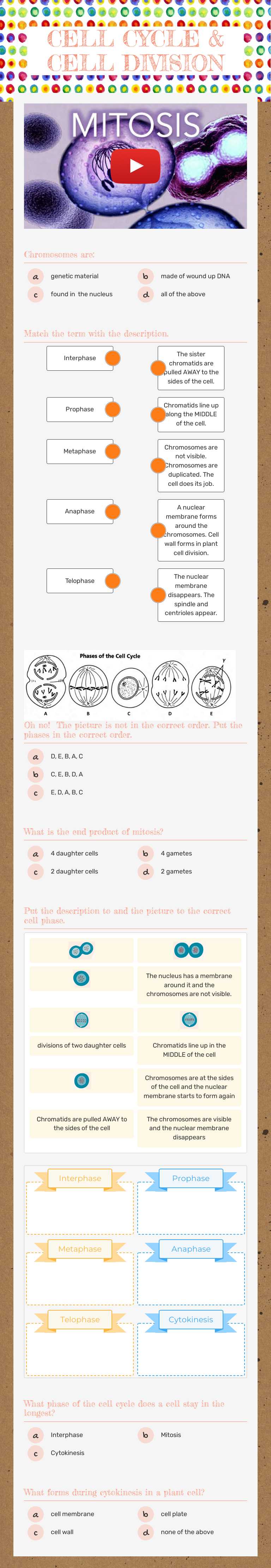 CELL CYCLE & CELL DIVISION worksheet preview image
