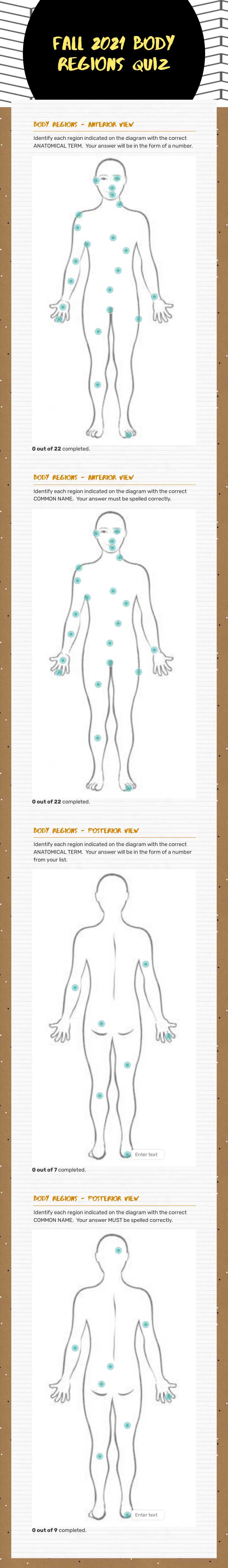 FALL 2021 BODY REGIONS QUIZ worksheet preview image