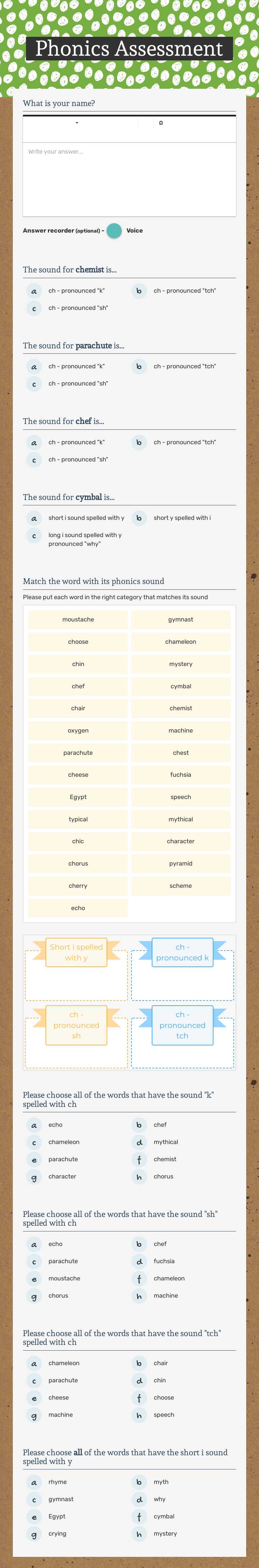 Phonics Assessment worksheet preview image