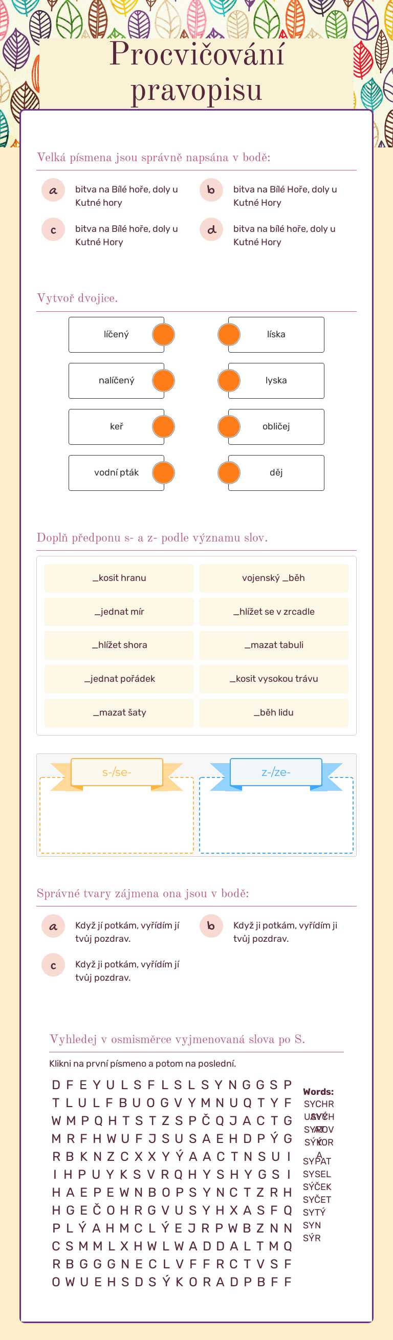 Procvičování pravopisu worksheet preview image