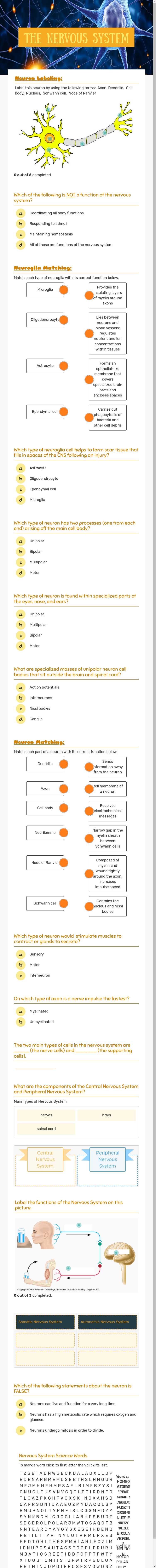 The Nervous System worksheet preview image