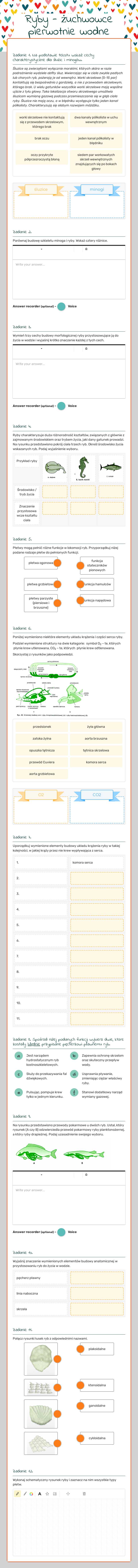 Ryby - żuchwowce pierwotnie wodne worksheet preview image