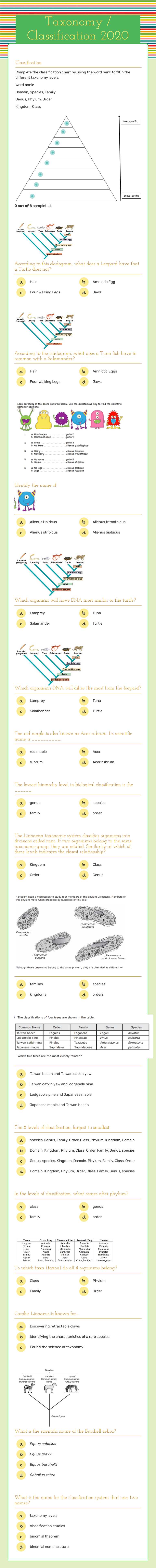 Taxonomy / Classification 2020 worksheet preview image