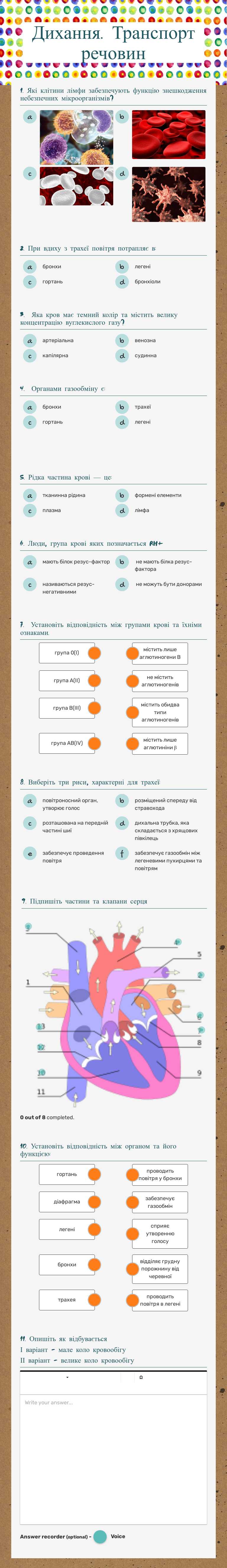 Дихання. Транспорт речовин worksheet preview image