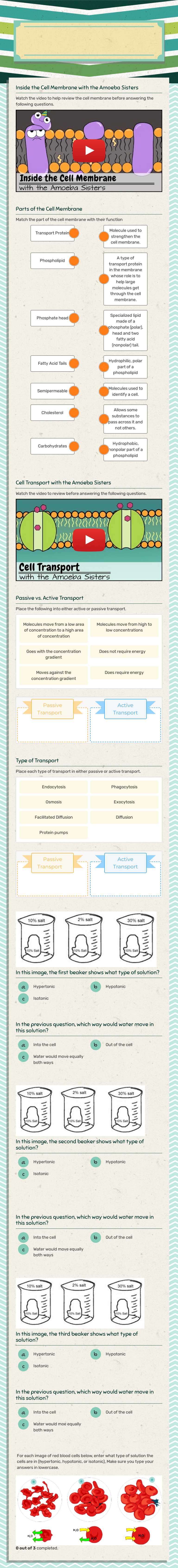 Cell Membrane and Cell Transport Grade 9 worksheet preview