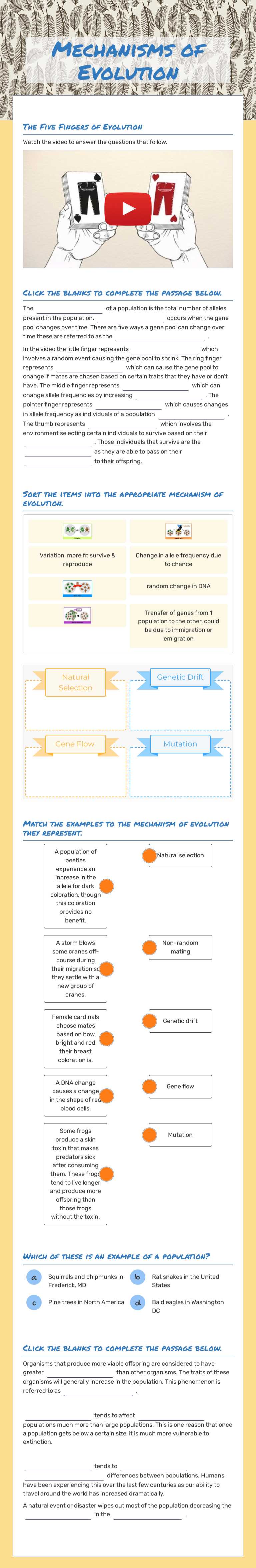 Mechanisms of Evolution worksheet preview image